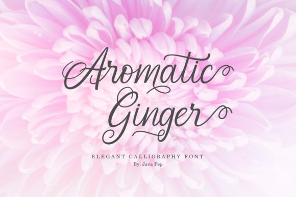 Aromatic Ginger: Elegant Calligraphy Font for Handmade Brands
