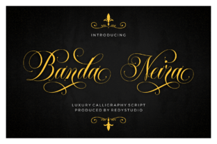 Banda Neira Typeface: Elevating Campaign Visuals