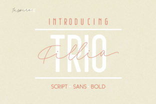 Fila: A Retro Display Font Trio for Handmade Branding