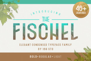 Fischel Family Typeface Review for Editorial Design