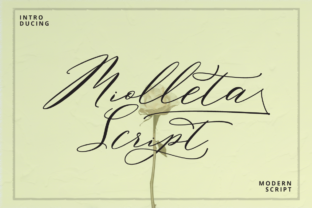 Miolleta Script: The Perfect Handwritten Font for Wedding Invitations and Crafts