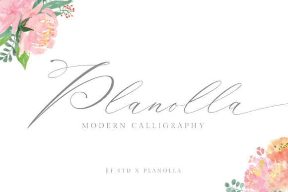 Planolla: The Artistic Script Font for Elegant Branding