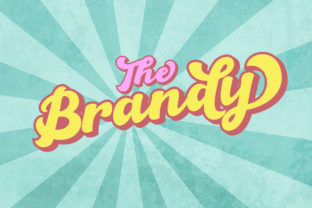 The Brandy: A Bold Script Font for Handmade Retro Branding